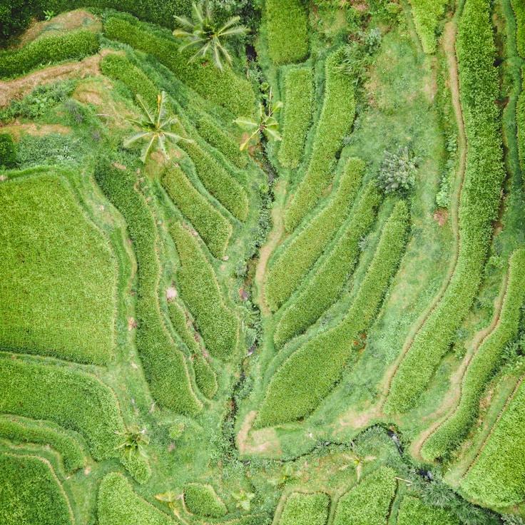 Outdoor terrace seating suitable for families in Lisbon